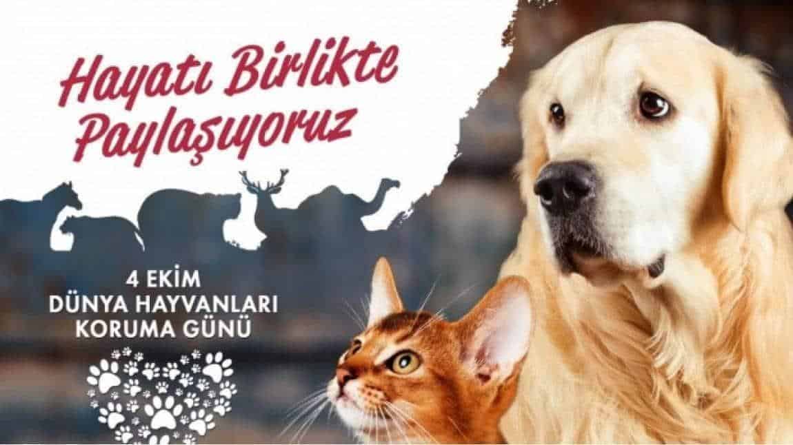 4 Ekim Hayvanları Koruma Günü